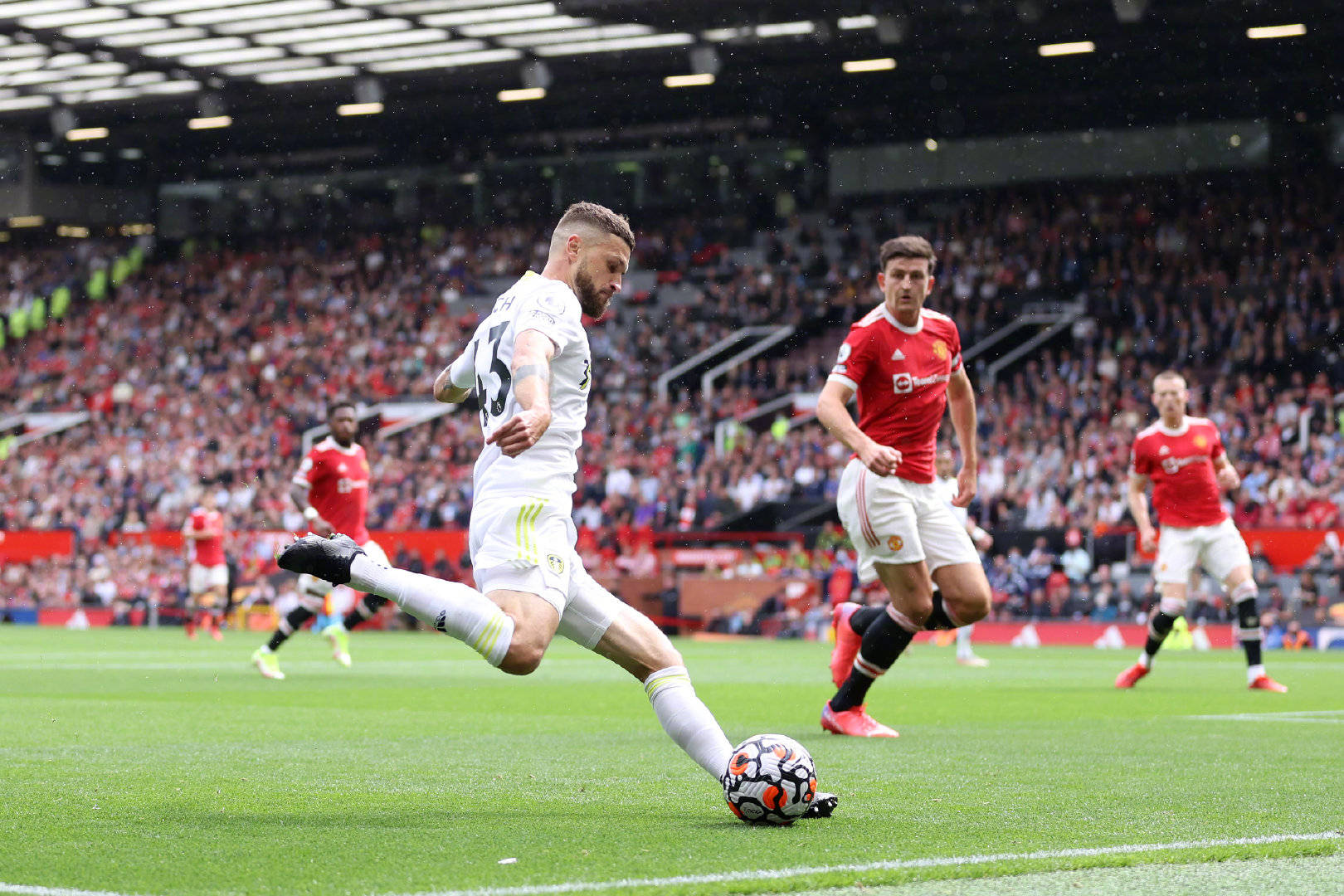 独立运动的 独立运动的