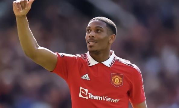 媒体上的活 媒体上的活